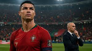 公牛